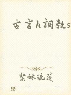 古言h调教sm封面