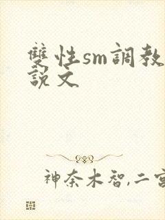 双性sm调教小说文封面