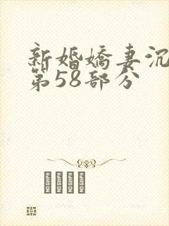 新婚娇妻沉沦1第58部分