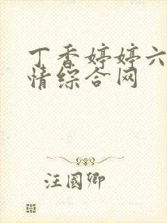 丁香婷婷六月激情综合网