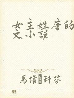 女主姓唐的总裁文小说