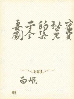 妻子的秘密电视剧全集免费观看人