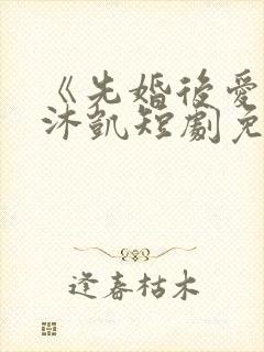 《先婚后爱》王沐凯短剧免费观看