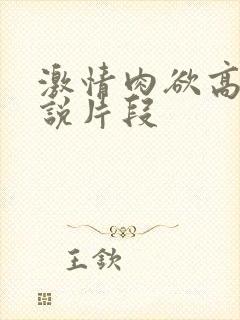 激情肉欲高h小说片段