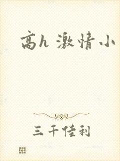高h 激情小说