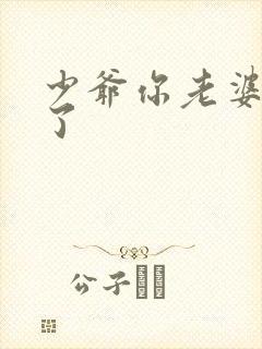 少爷你老婆又跑了