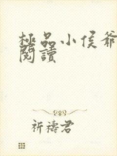 极品小侯爷免费阅读