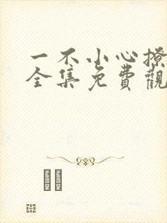 一不小心撩错人全集免费观看短剧