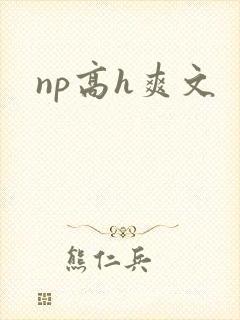 np高h爽文