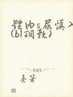 体内s尿慎入h(bl调教)
