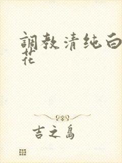 调教清纯白丝校花