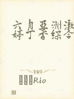 六月亚洲激情婷婷丁香综合网