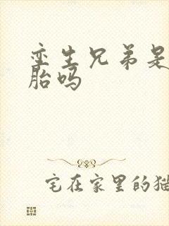 孪生兄弟是双胞胎吗