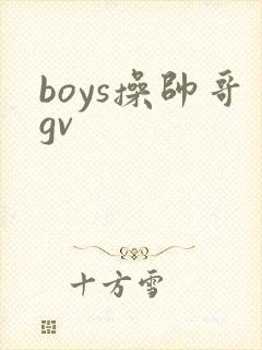 boys操帅哥gv