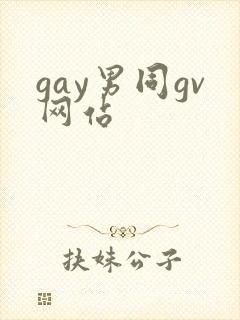 gay男同gv网站封面