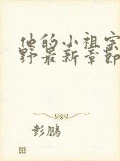 他的小祖宗甜又野最新章节txt封面
