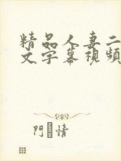 精品人妻二区中文字幕视频