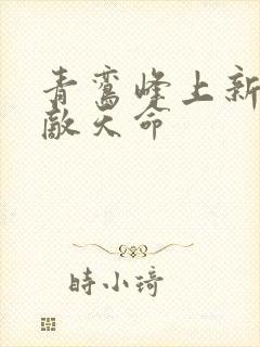 青鸾峰上新书无敌天命