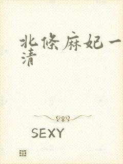北条麻妃一区高清