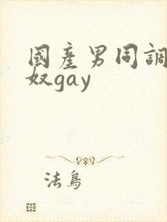 国产男同调教男奴gay