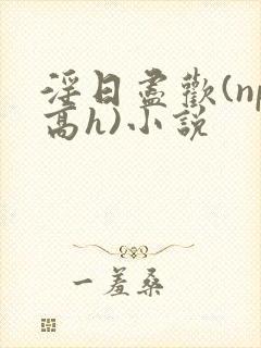 淫日尽欢(np高h)小说