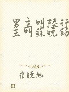 男主叫陆行舟女主叫苏晚的小说