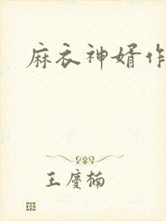 麻衣神婿作者封面