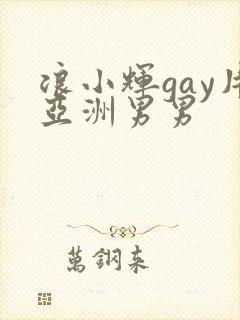 浪小辉gay片亚洲男男