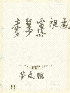 老舅电视剧一共多少集