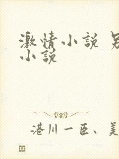 激情小说 另类小说