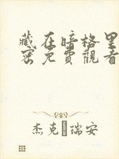 藏在暗格里的秘密免费观看封面