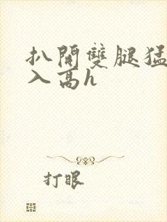 扒开双腿猛烈进入高h封面