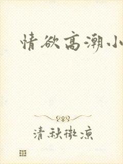 情欲高潮小说