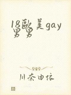 18欧美gay男男