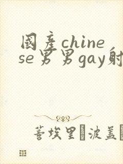 国产chinese男男gay射精网站