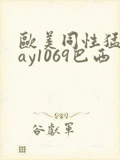欧美同性猛男gay1069巴西