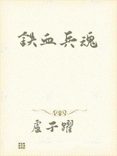 铁血兵魂封面