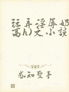 玩弄淫辱奶头(高h)文小说