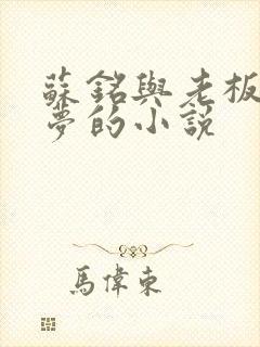 苏铭与老板娘沈梦的小说