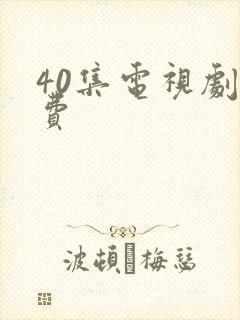 40集电视剧免费