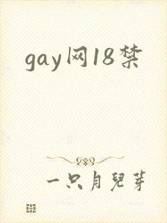 gay网18禁