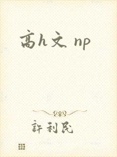 高h文 np