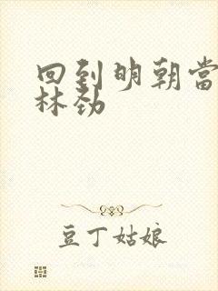 回到明朝当王爷林劲