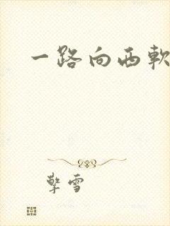 一路向西软件