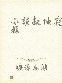 小说叔他宠妻上瘾