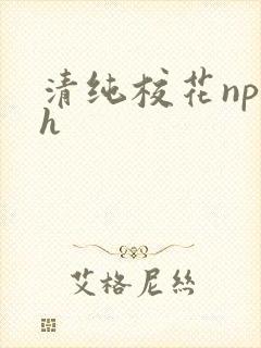 清纯校花np高h