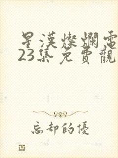 星汉灿烂电视剧23集免费观看封面