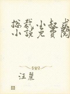 总裁小叔求放过小说免费阅读全文封面