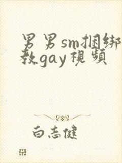 男男sm捆绑调教gay视频