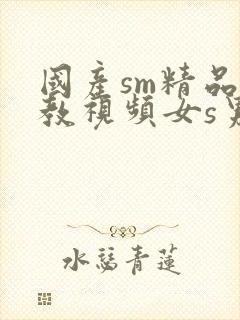 国产sm精品调教视频女s男m